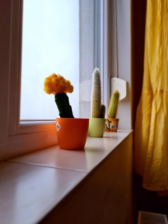 Cozy Apartment อาราด ภายนอก รูปภาพ