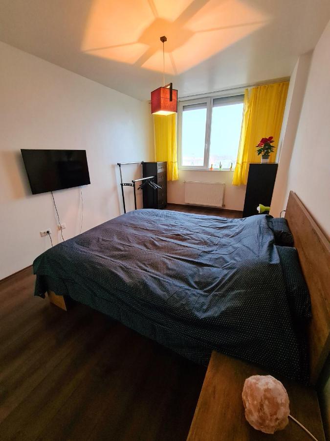 Cozy Apartment อาราด ภายนอก รูปภาพ